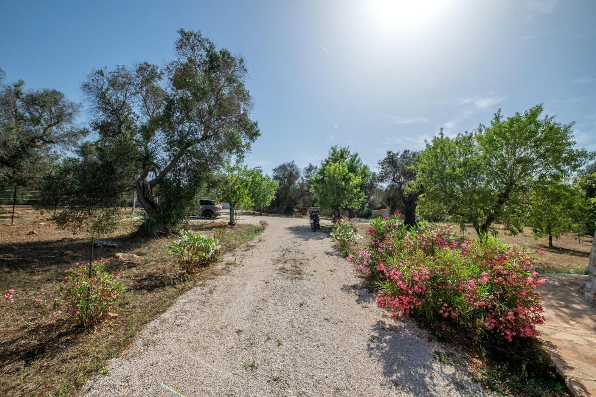 Il Trullo Di Mariangela Villa Ceglie Messapica Exterior foto